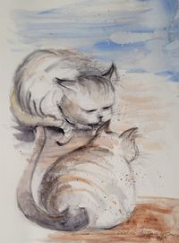 Katzen, Aquarell 28x38